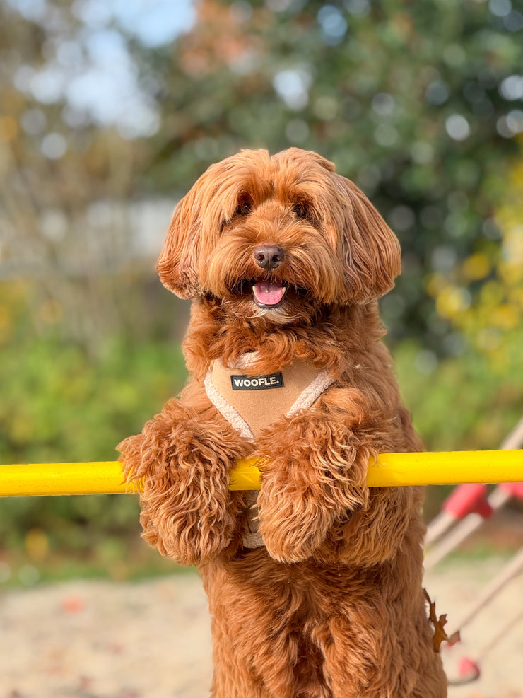 Complete Set Aspen - Taupe