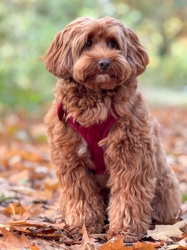 Complete Set Vanity - Bordeaux Rood