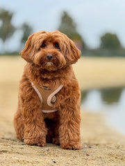 Complete Set Aspen - Taupe