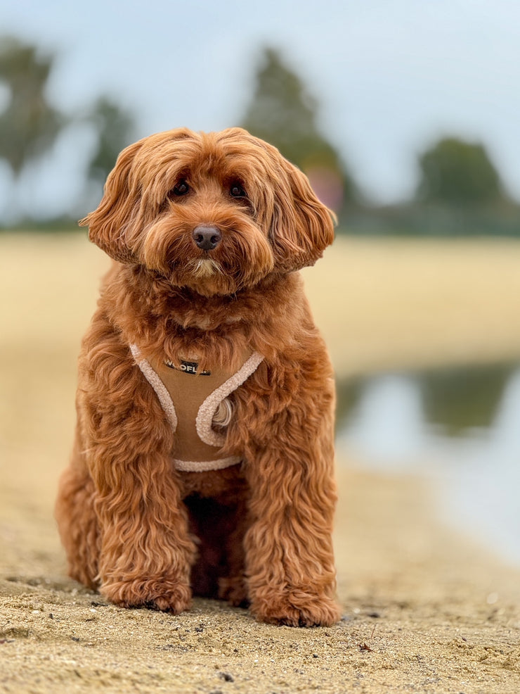 Complete Set Aspen - Taupe