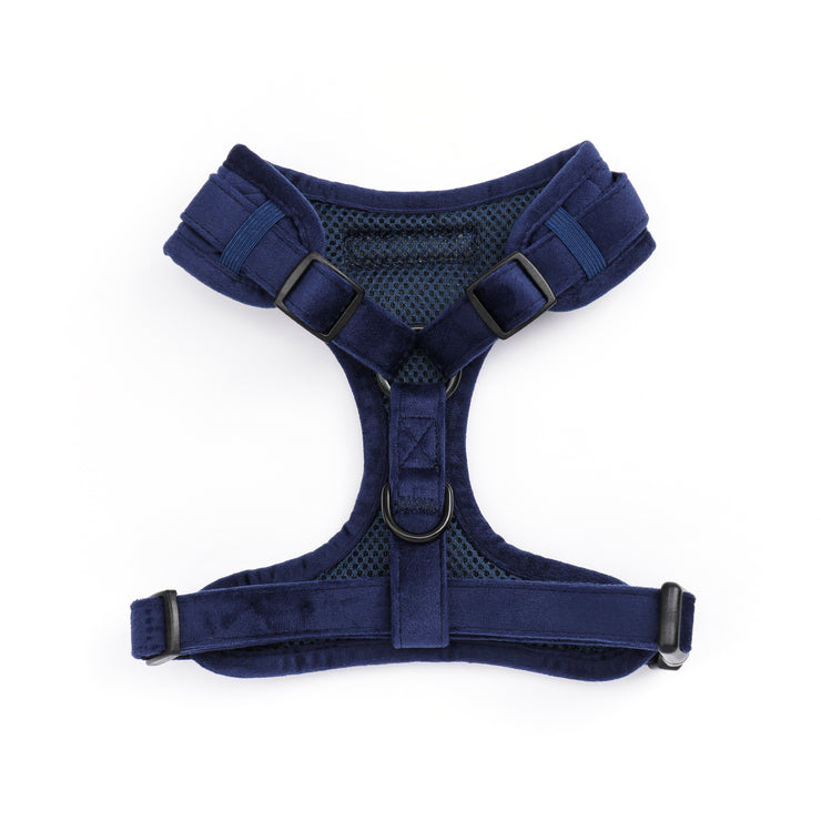 Tuigje Vanity - Navy Blue