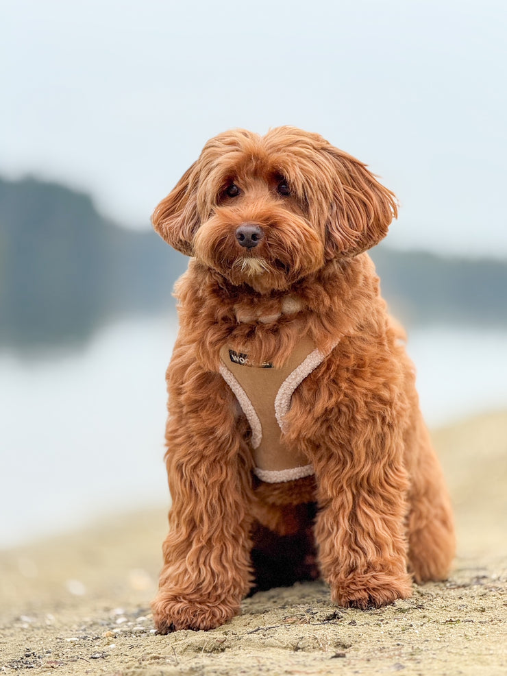 Complete Set Aspen - Taupe