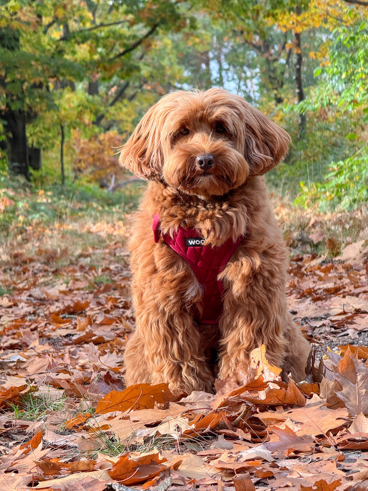 Complete Set Vanity - Bordeaux Rood