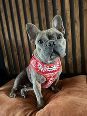 Complete Set Merry Tail - Rood