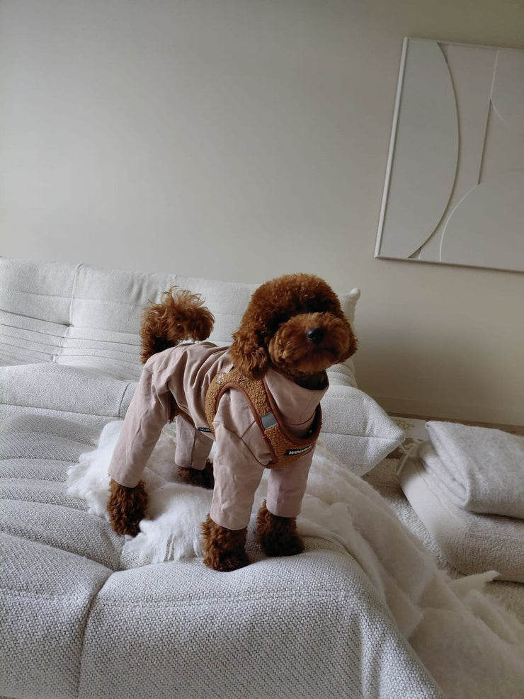 Instaptuigje Teddy - Bruin