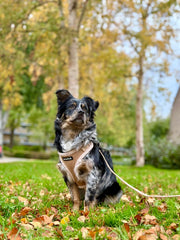 Complete Set Aspen - Taupe