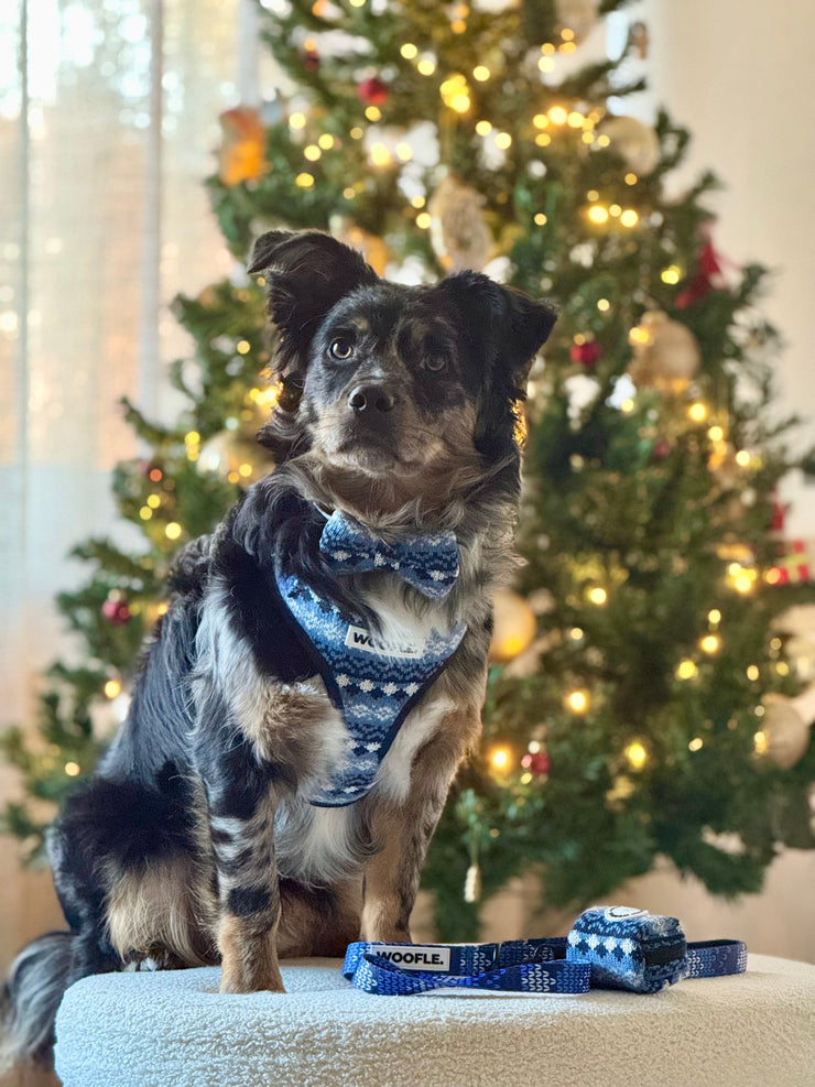 Complete Set Merry Tail - Donkerblauw