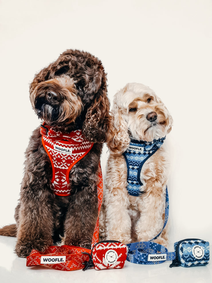 Complete Set Merry Tail - Donkerblauw