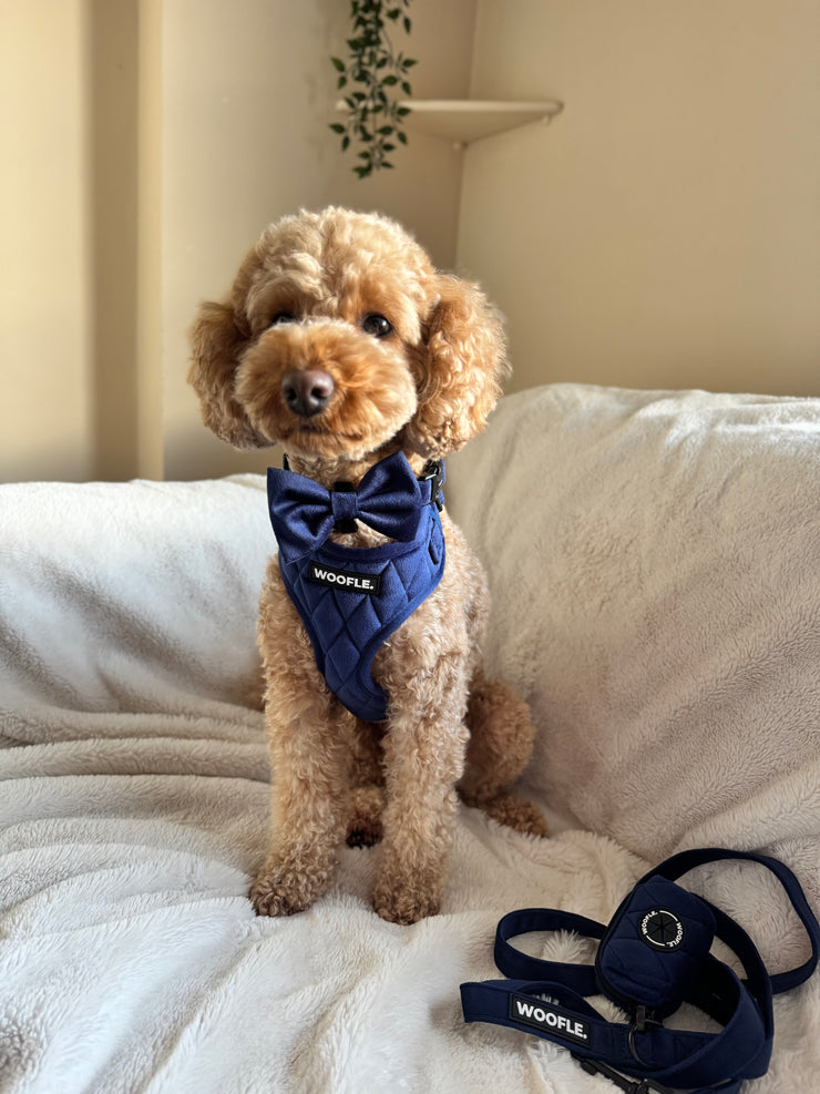 Complete Set Vanity - Navy Blue