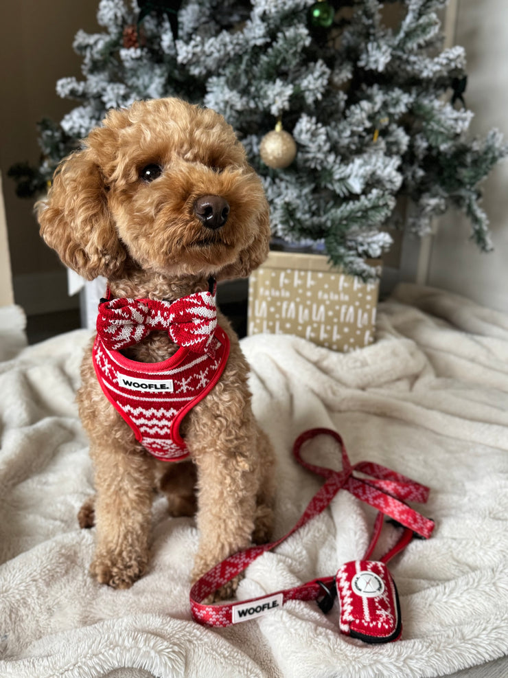 Complete Set Merry Tail - Rood