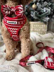 Complete Set Merry Tail - Rood