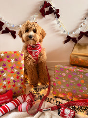 Complete Set Merry Tail - Rood