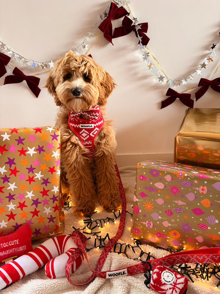 Complete Set Merry Tail - Rood