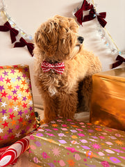 Strikje Merry Tail - Rood