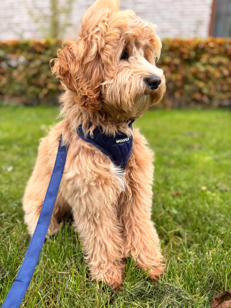 Complete Set Vanity - Navy Blue