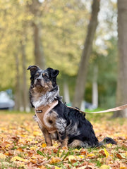 Complete Set Aspen - Taupe