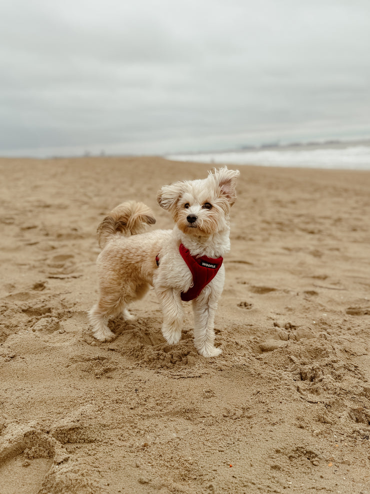 Complete Set Vanity - Bordeaux Rood