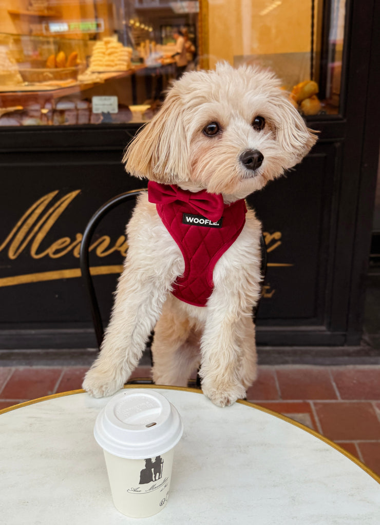 Complete Set Vanity - Bordeaux Rood