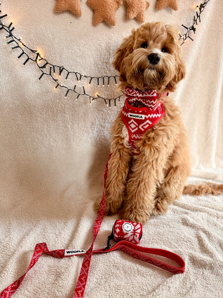 Complete Set Merry Tail - Rood