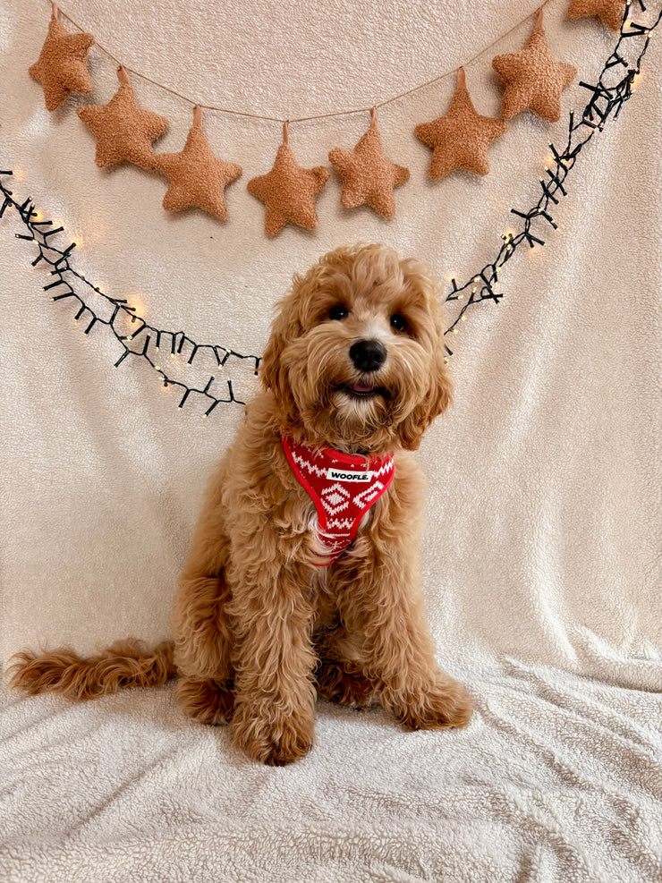 Complete Set Merry Tail - Rood